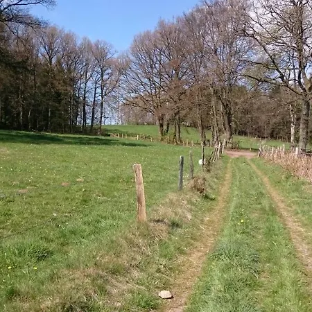 Panorama Zen