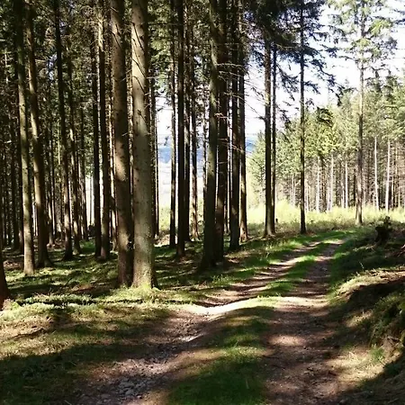 Panorama Zen *
