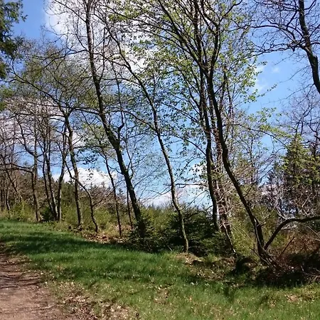 Appartamento Panorama Zen *